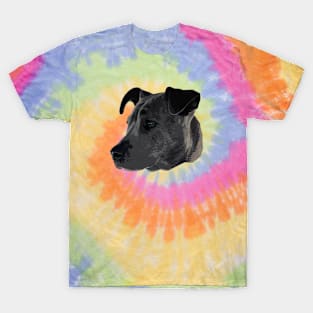 Black Pitbull Head T-Shirt